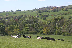 Cobden Farm Forest of Bowland B and B